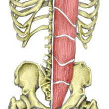 Abdominal Strain