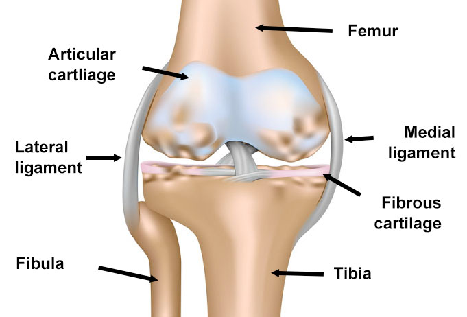 Osteoarthritis