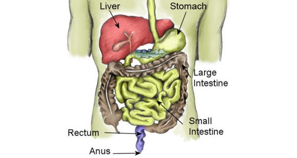 Gastrointestinal symptoms