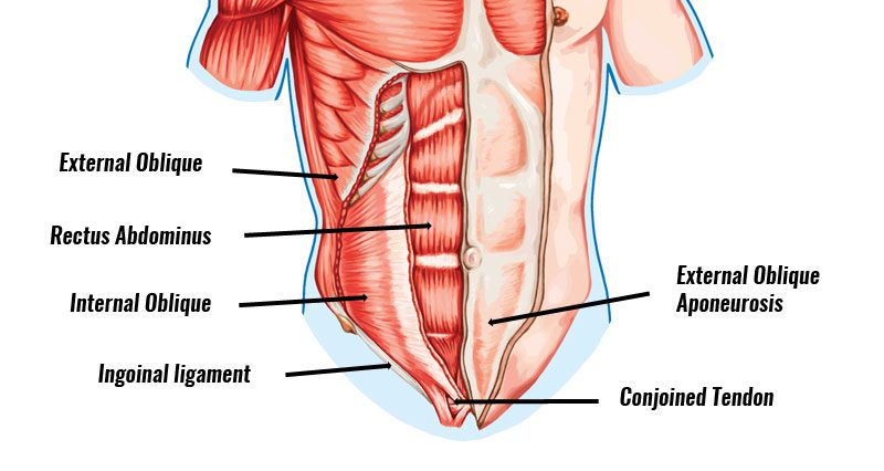 Gilmores Groin