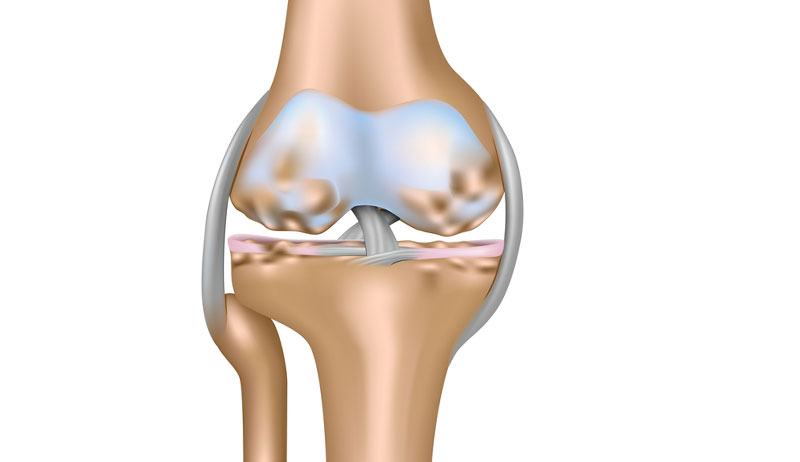 Acute Patella Injury causes symptoms treatment