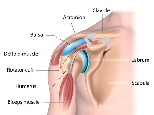 shoulder impingement diagnosis