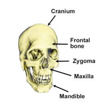 Temporomandibular Joint Disorder