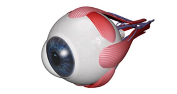 Eye injuries