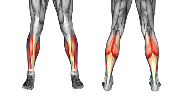 lower leg pain