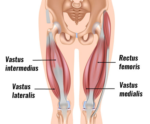 Ripen interval Emptiness quad on leg Attend Appal Oral