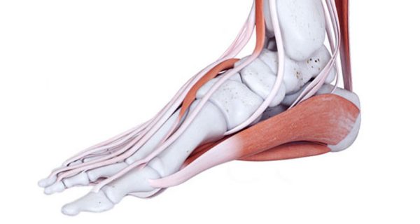 Pain on the inside of the foot