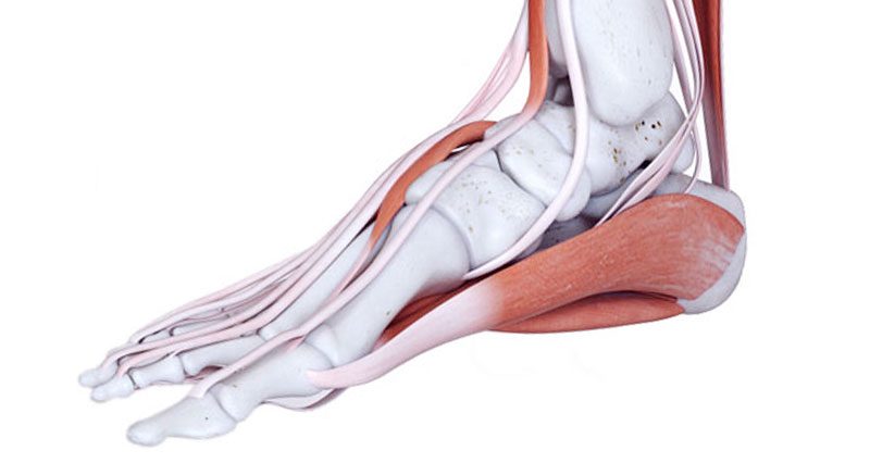 Inside Foot Pain - Symptoms, Causes 