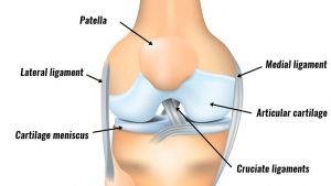 Knee joint injuries