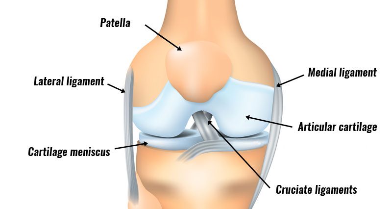 Knee joint injuries