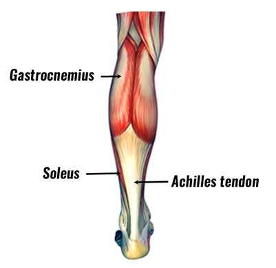 Tight Calf Muscles - Causes and Stretches for Tight Calf Muscles