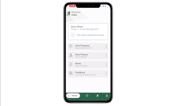 Sports Injuries Treatment Rehabilittion Virtual Sports Injury Clinic