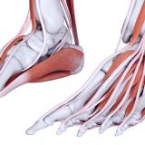 Foot Arch Pain - Symptoms, Causes and Treatment