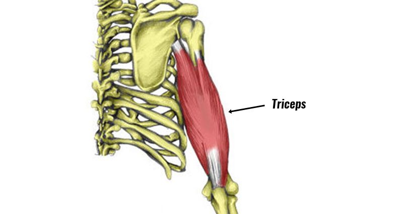 Triceps strain