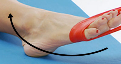 Ankle eversion against band