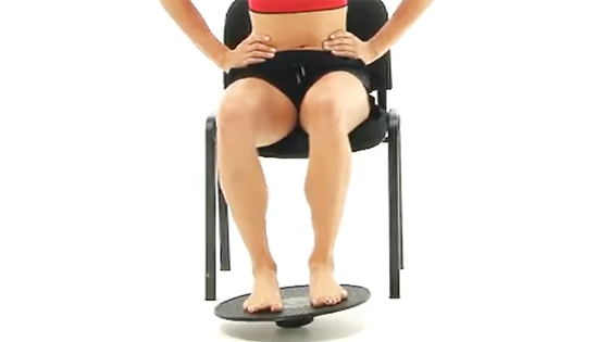 seated wobble board